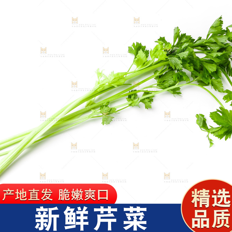白底上摆放着芹菜