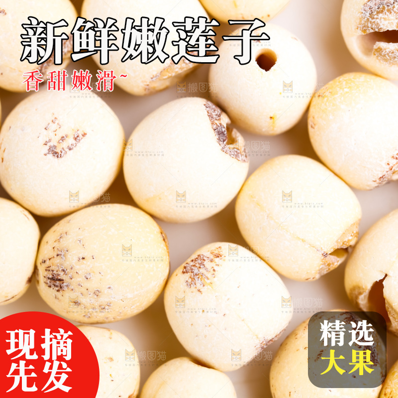 白底上的莲子
