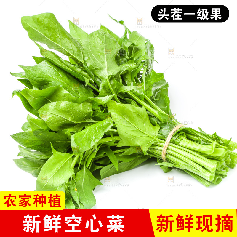白底上放着一把空心菜