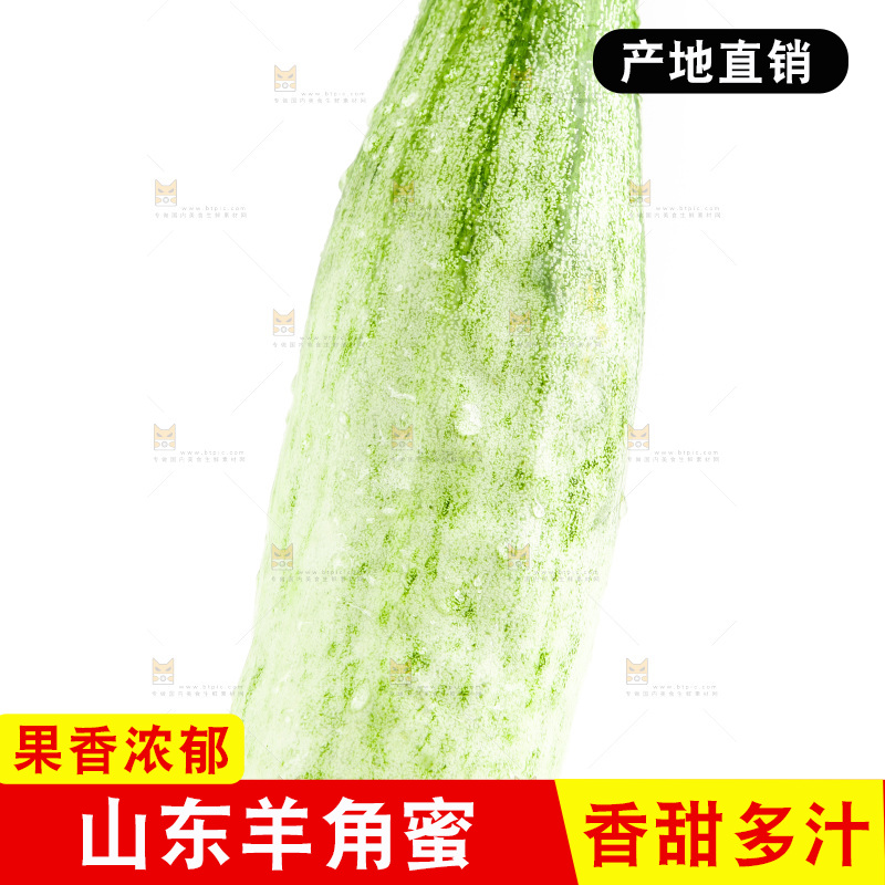 白底上的山东羊角蜜甜瓜