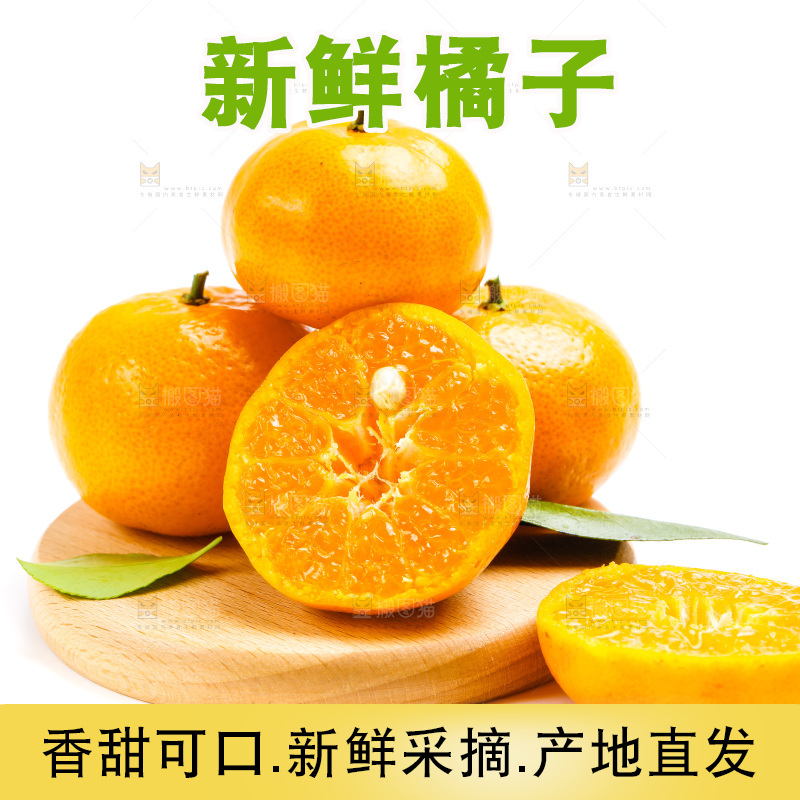 新鲜橘子放在白底上