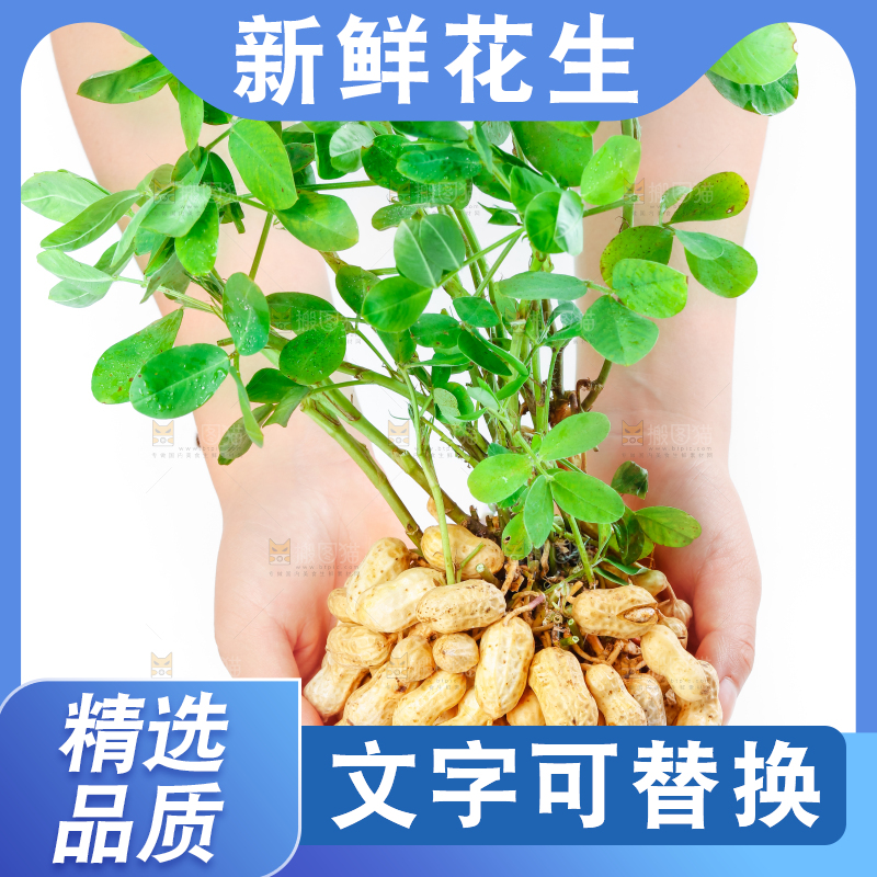 手上捧着湿花生