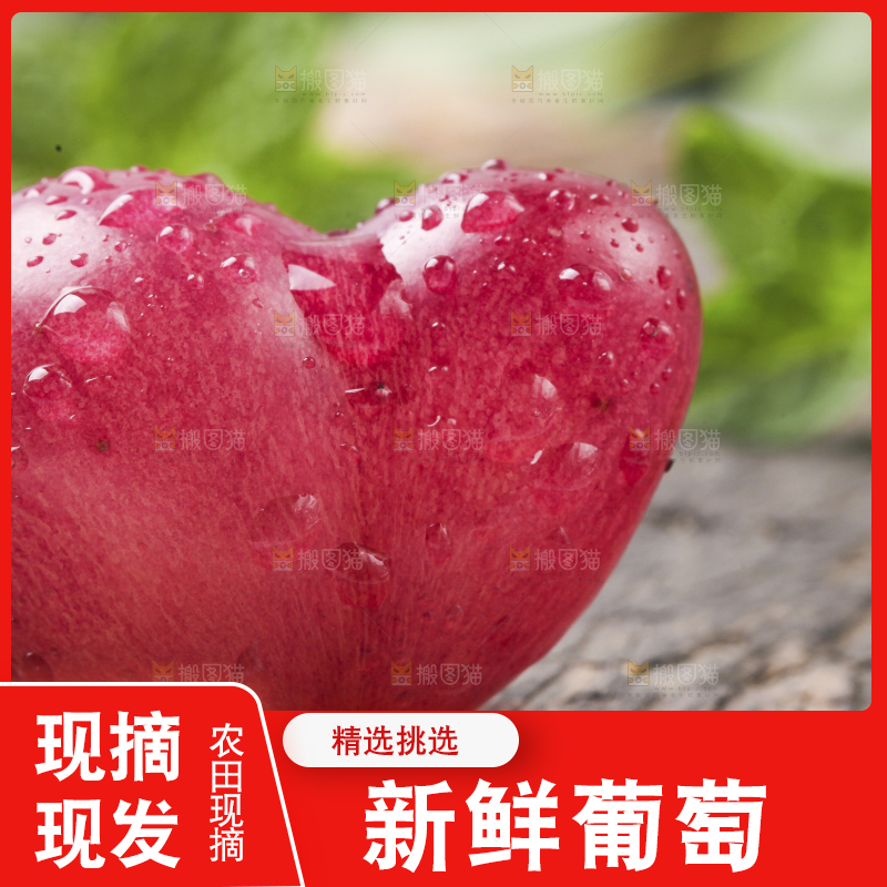 白底上放着红葡萄