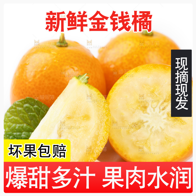 白底上的金桔