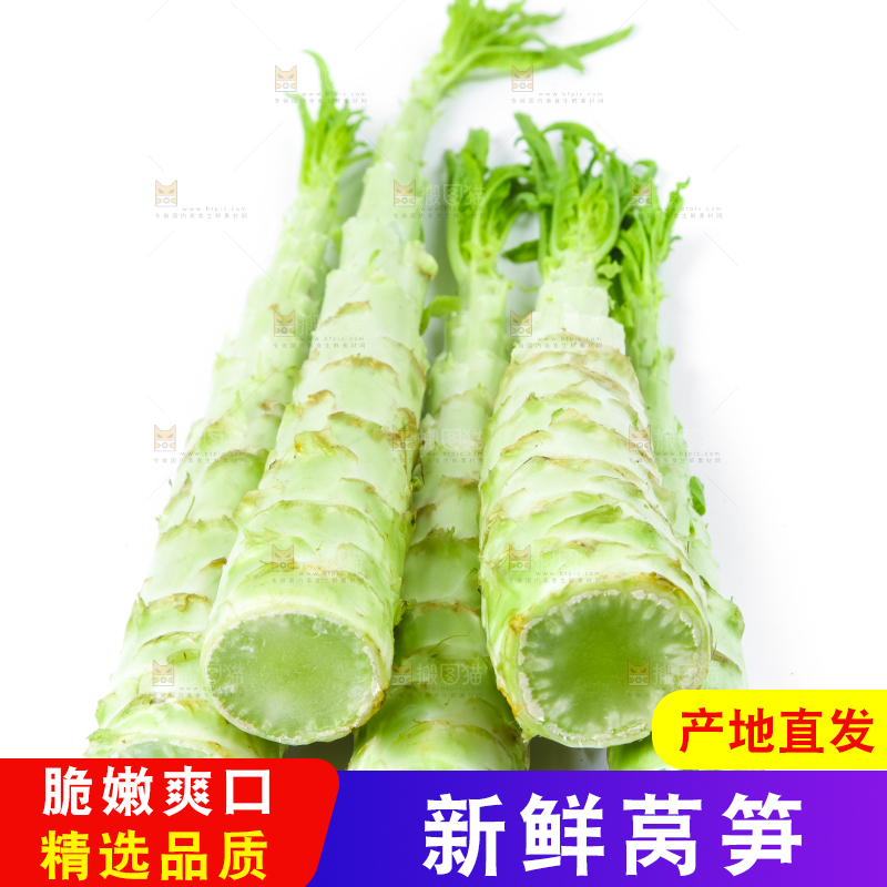 白底上的莴笋