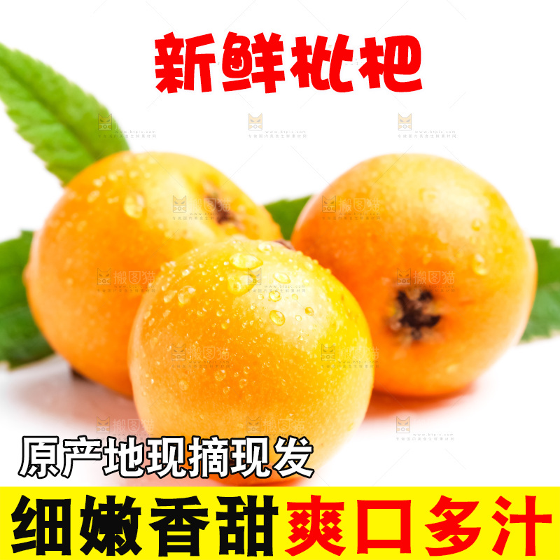 白底上放着新鲜枇杷