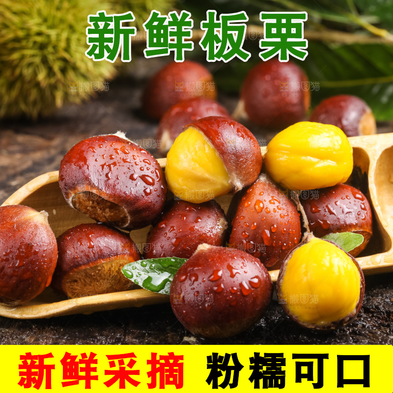 深底上的迁西板栗