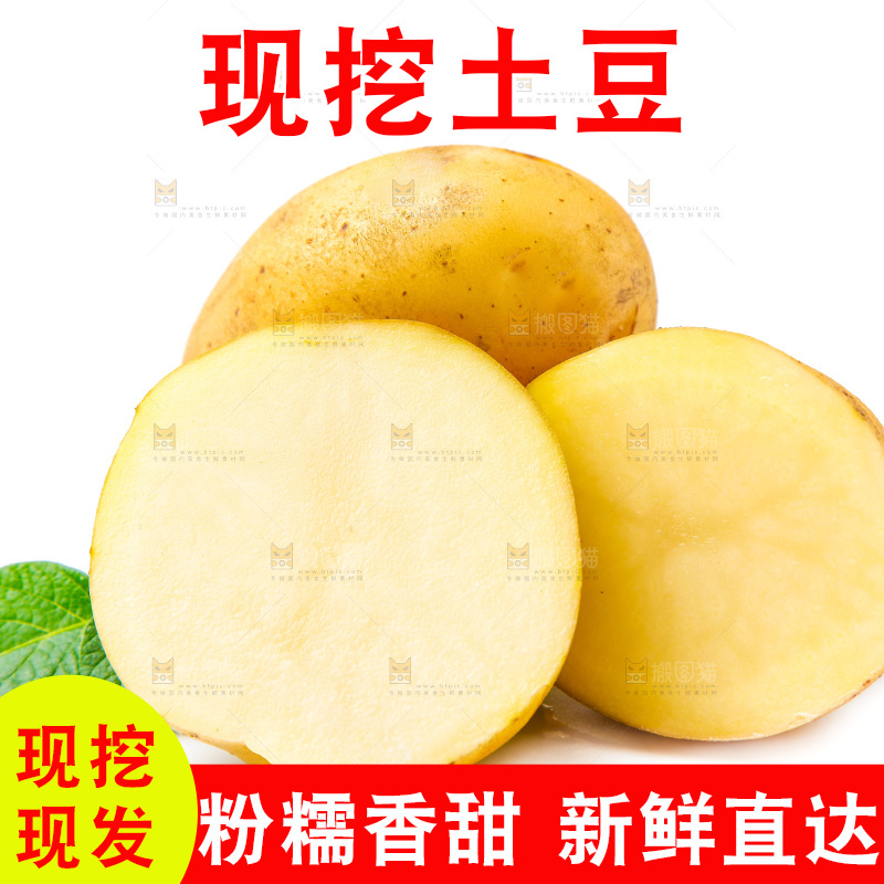 黄心土豆放在白底上