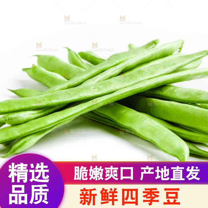 白底上的四季豆