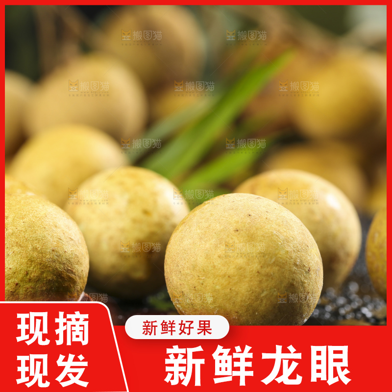 石板上的南平龙眼