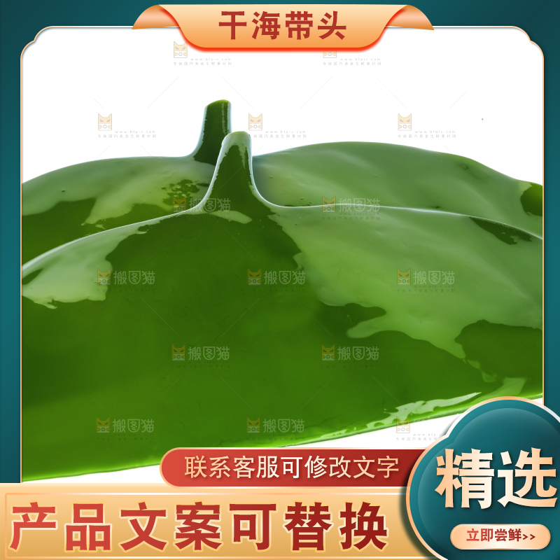 白底上摆放着海带头