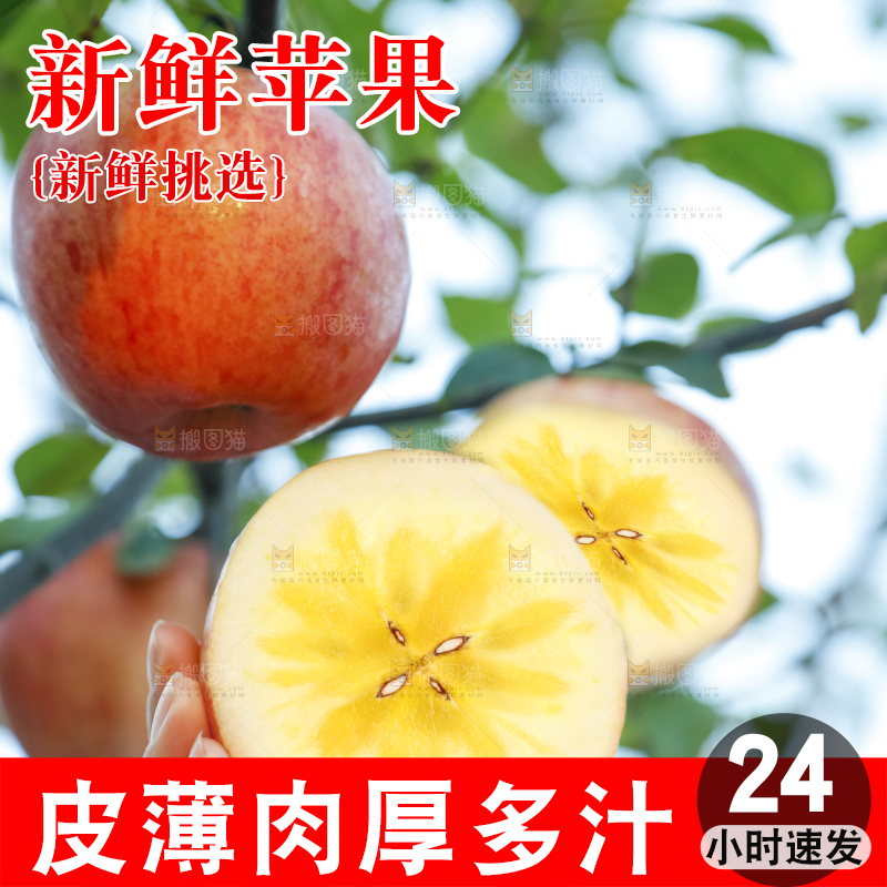 手里拿着新疆冰糖心苹果