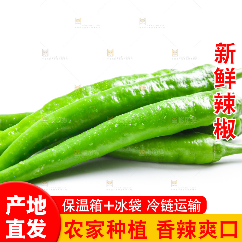 白底上摆放着新鲜杭椒