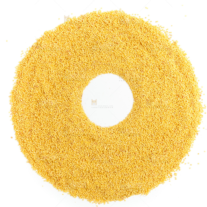 山西黄小米放在白底上