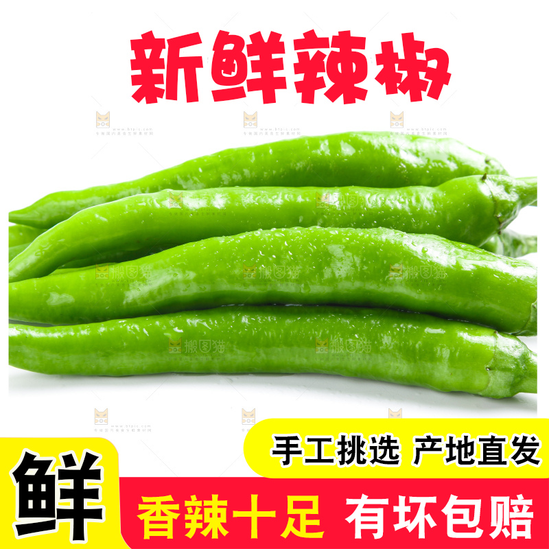 白底上摆放着新鲜杭椒