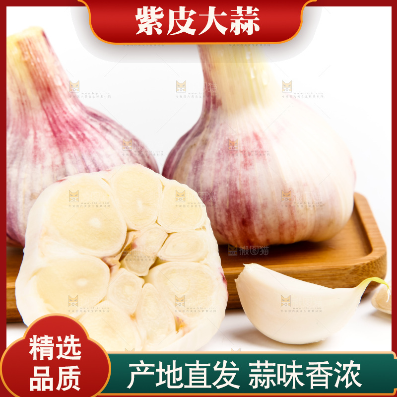 白底上的大蒜