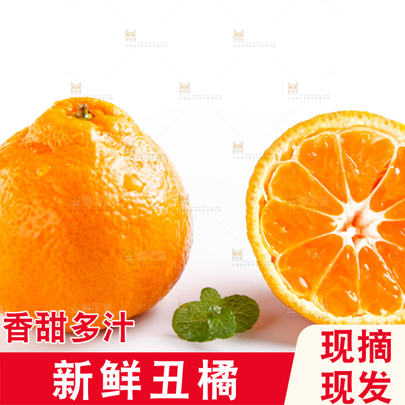 白底上的丑八怪橘子