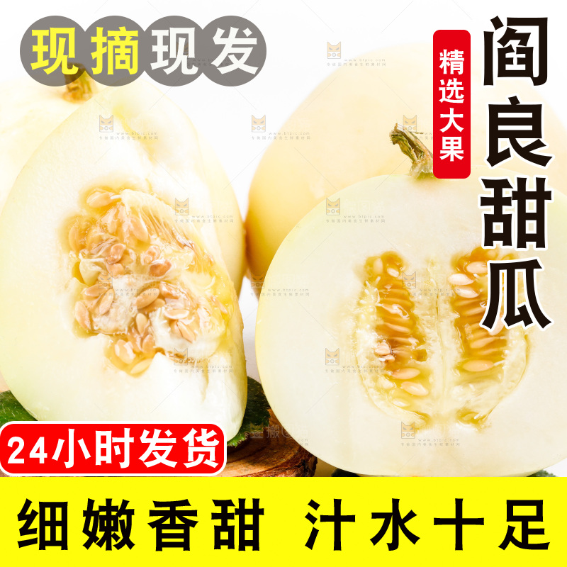 新鲜阎良甜瓜放在白底上