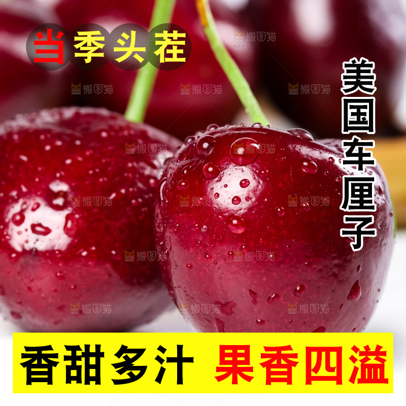 白底上的新鲜车厘子