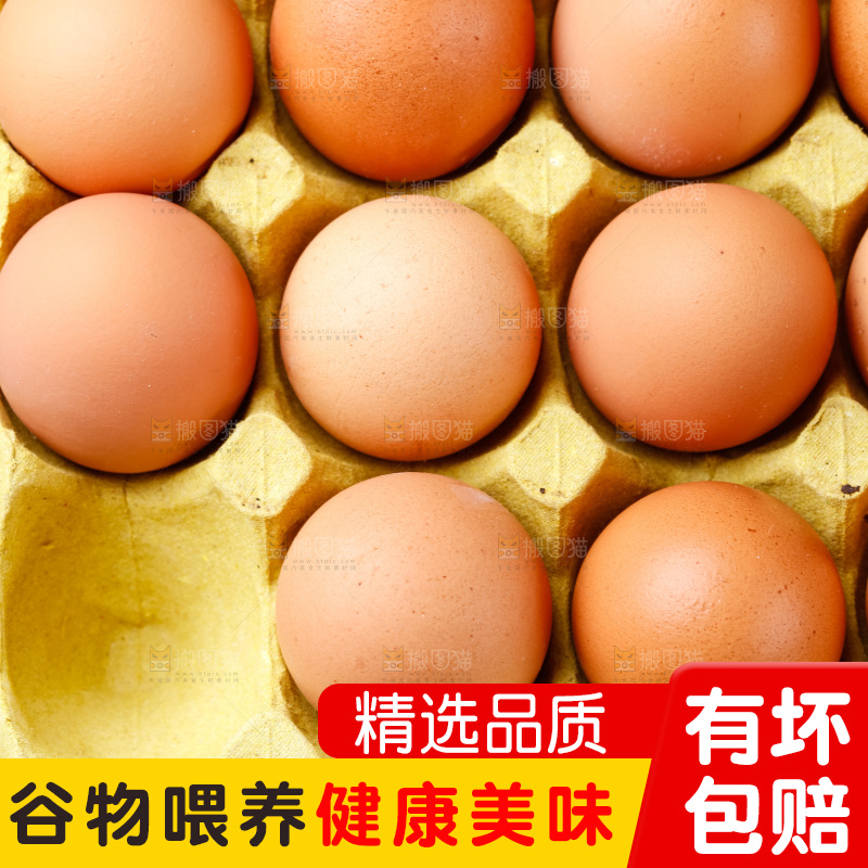木底上放着新鲜鸡蛋