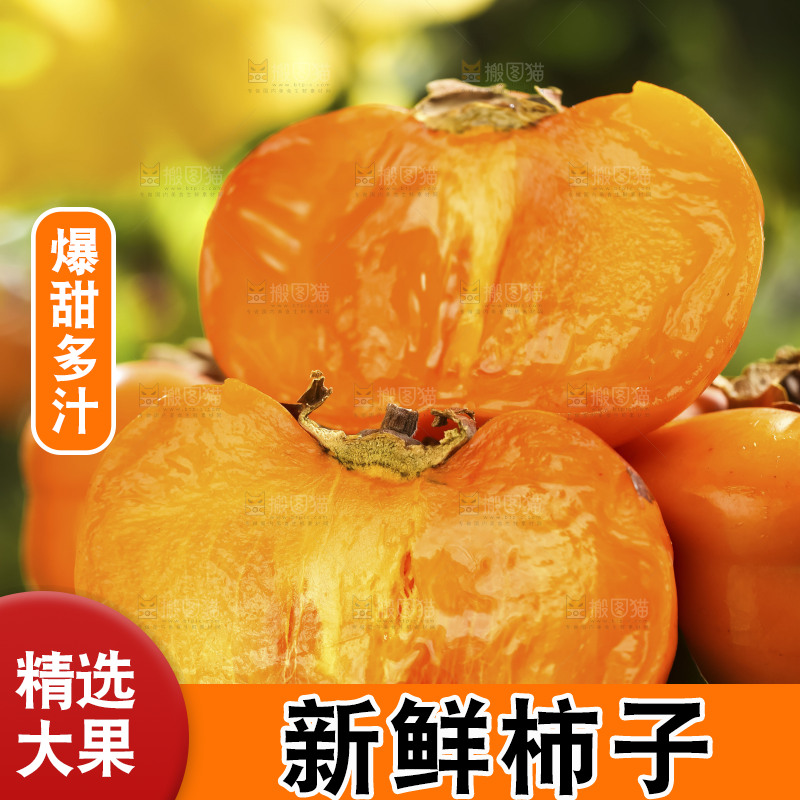 木底上的磨盘大柿子