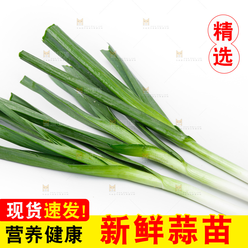 白底上的新鲜蒜苗