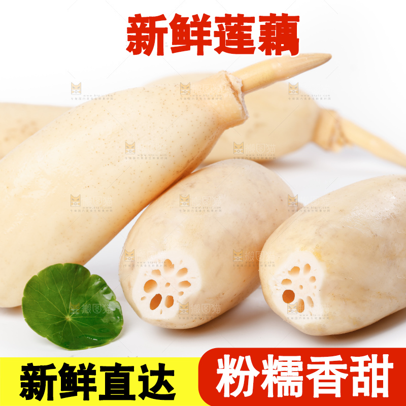 白底上的新鲜莲藕