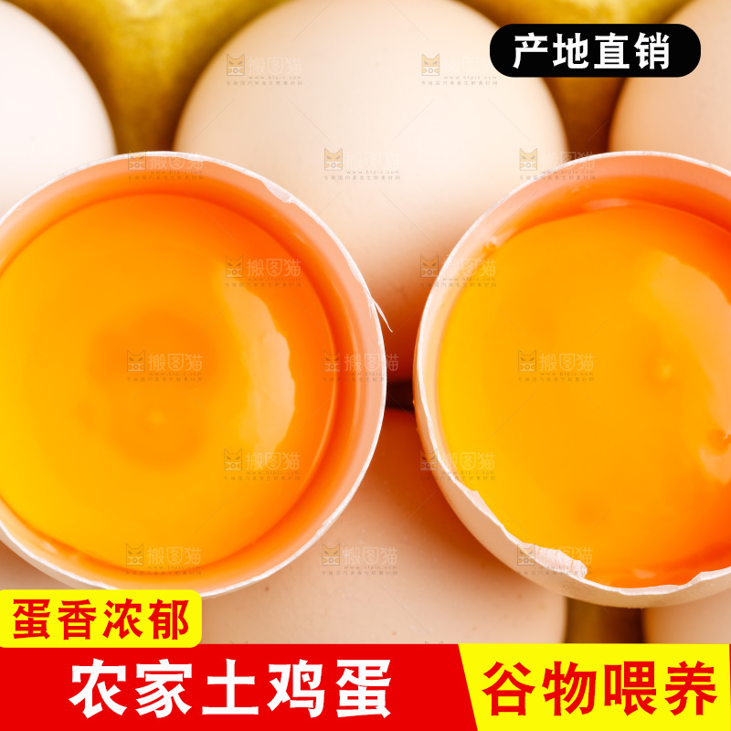白底上的土鸡蛋
