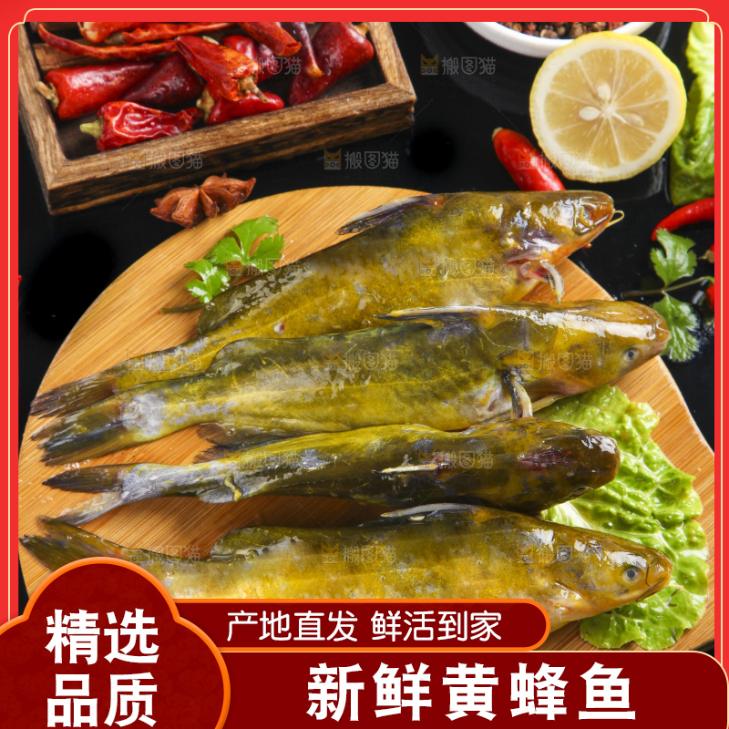 木板上放着黄颡鱼