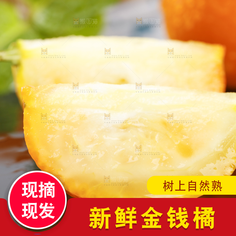 黑石板上的广西金钱橘