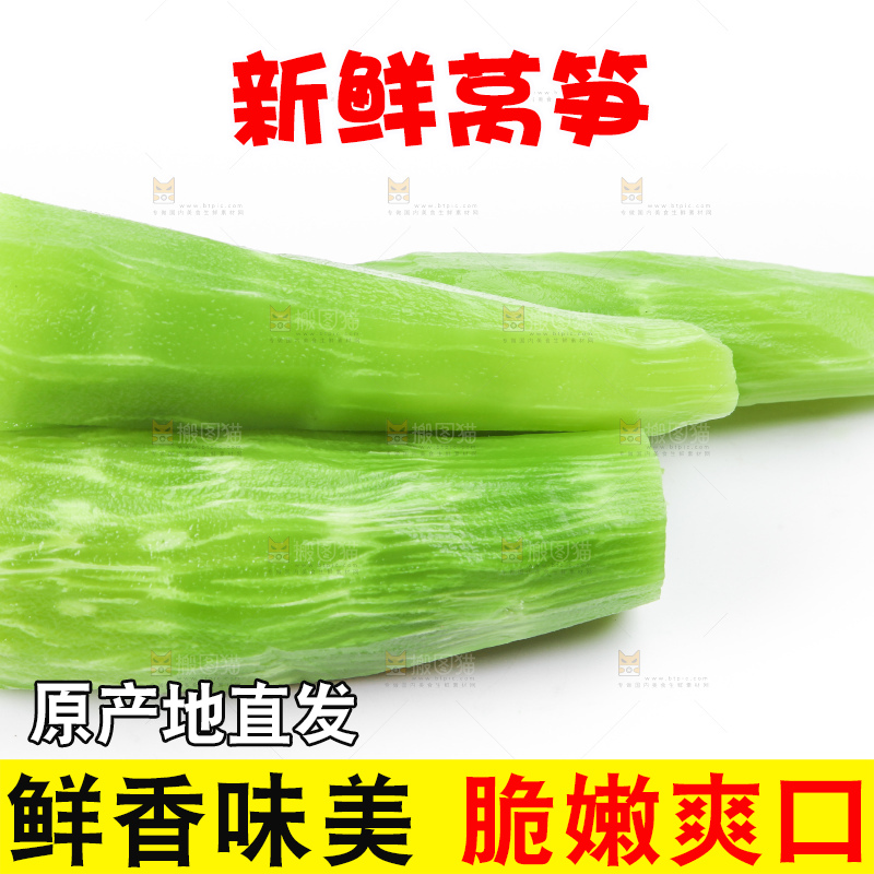 白底上摆放着莴苣