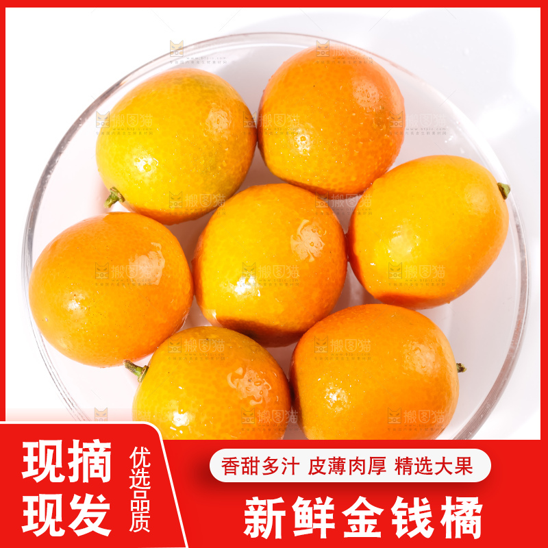 白底上的融安金桔