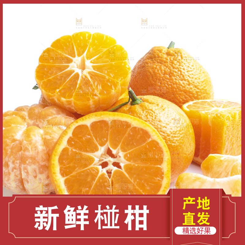 白底上摆放着四川椪柑