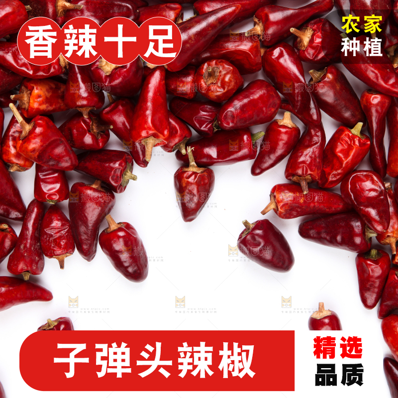 白底上的子弹头辣椒