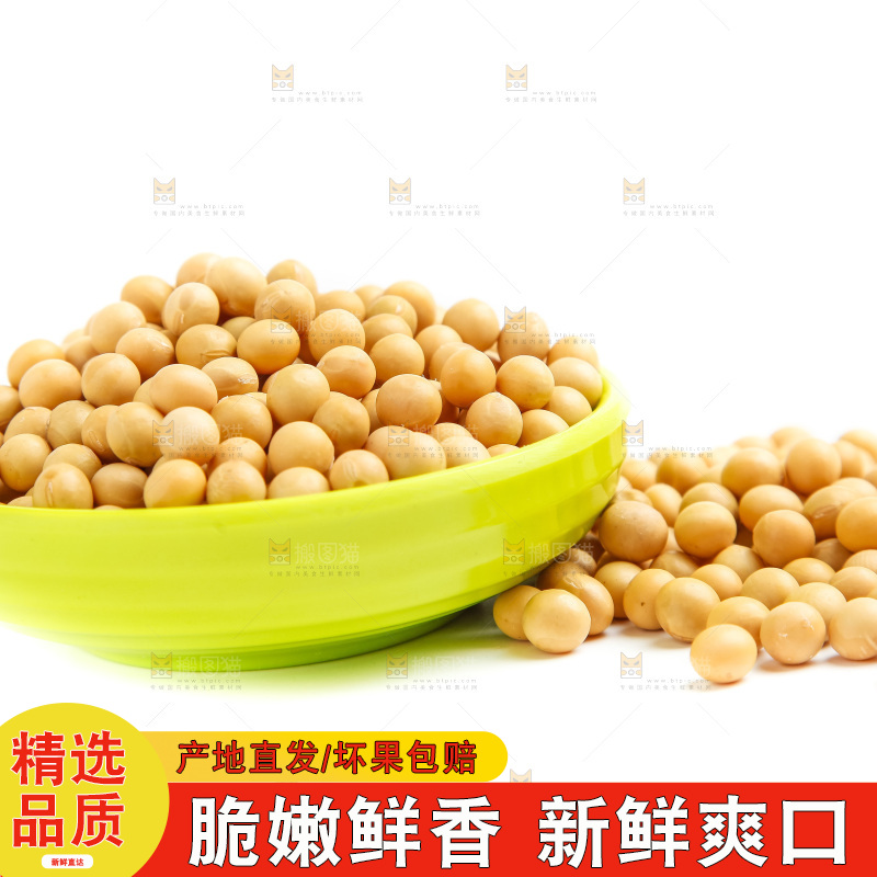一碗黄豆放在白底上