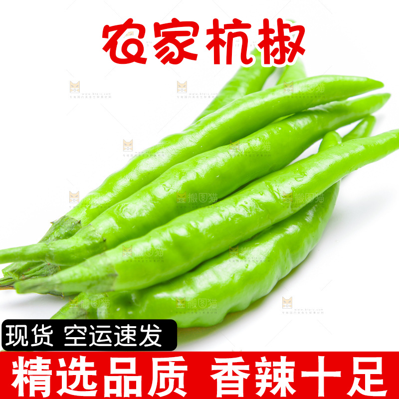 白底上放着杭椒