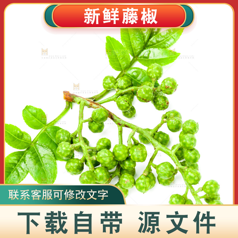 新鲜麻椒放在白底上