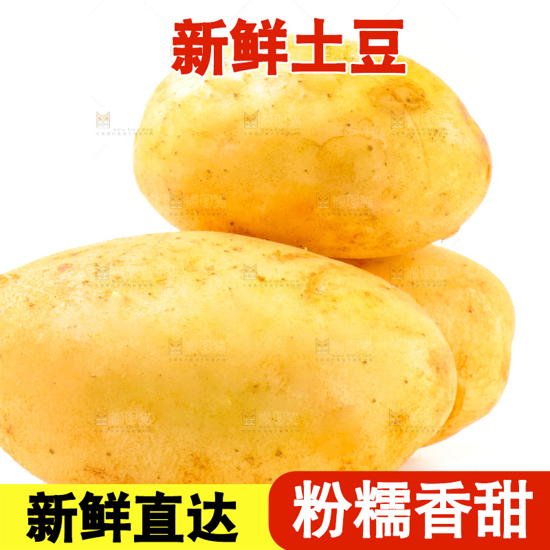 白底上的新鲜土豆