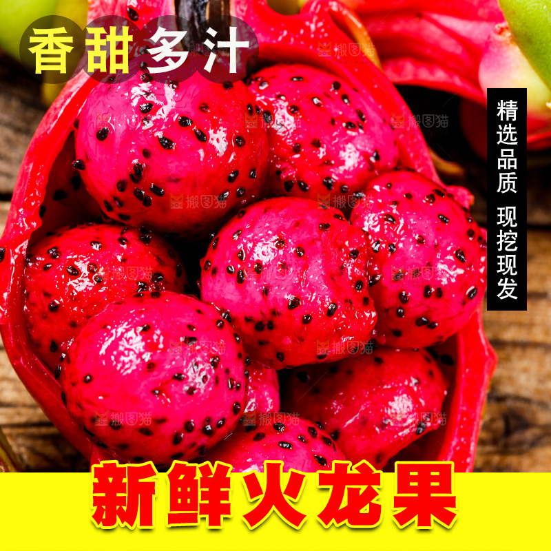 深底上放着红心火龙果果肉