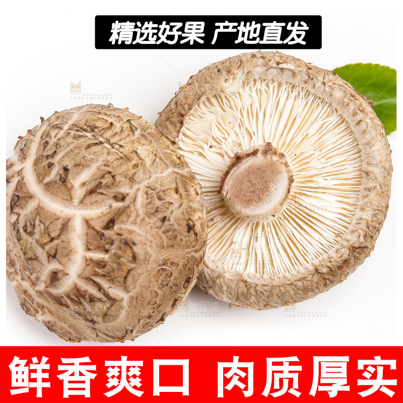白底上放着花菇