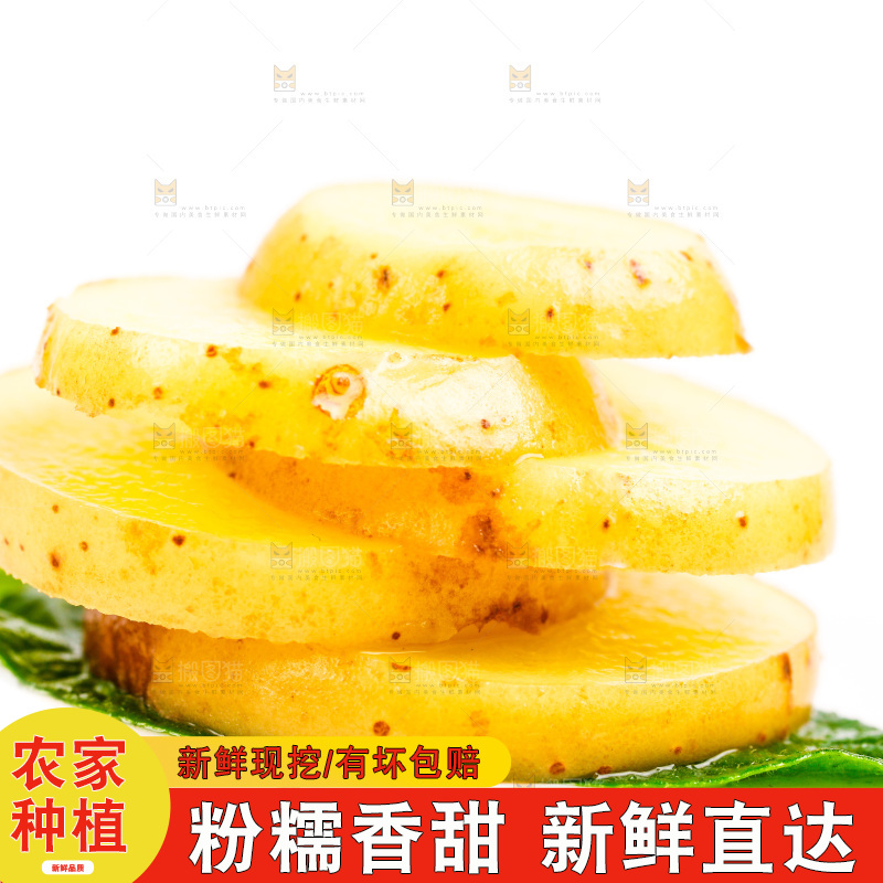 黄心土豆放在白底上