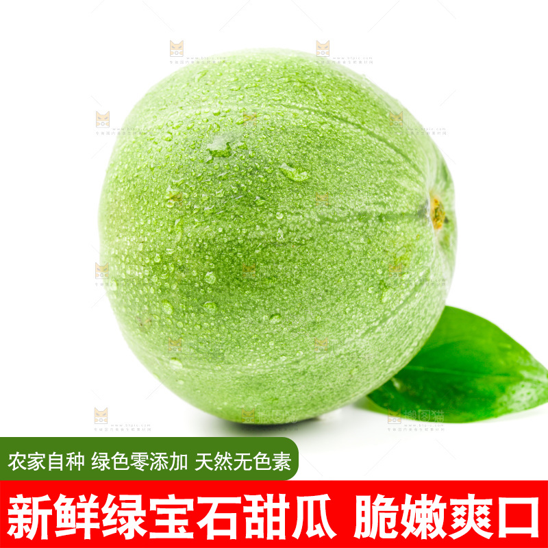 浅底上的山东绿宝石甜瓜