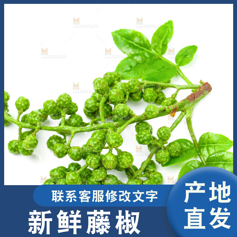 白底上的藤椒