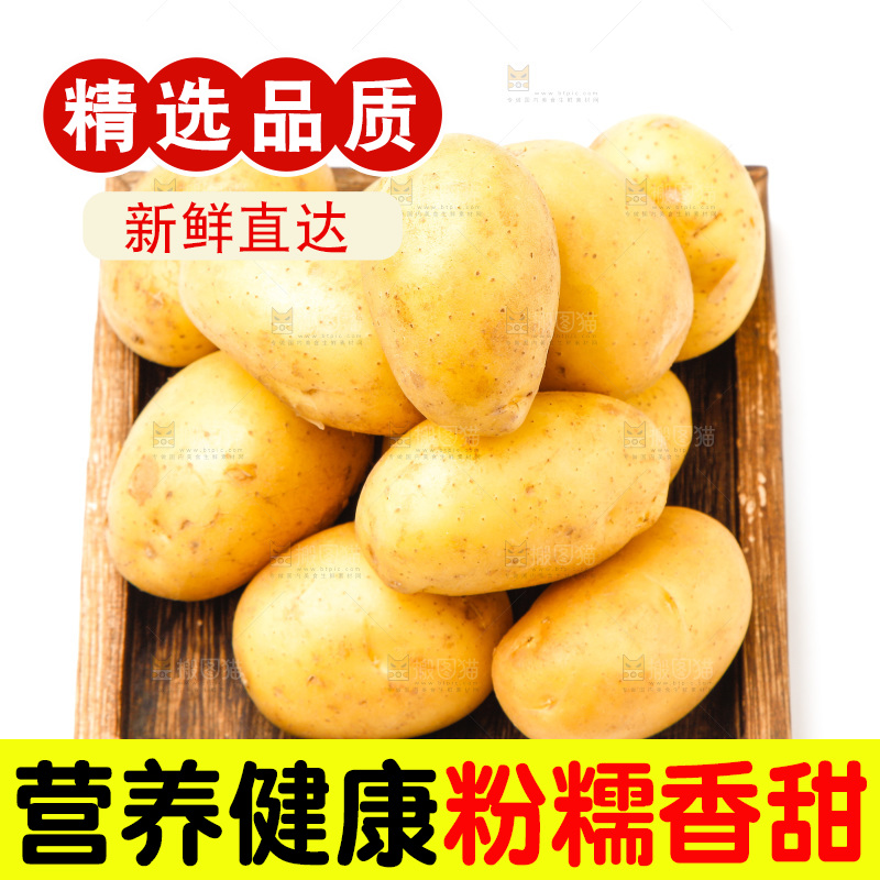 一盘新鲜土豆放在白底上