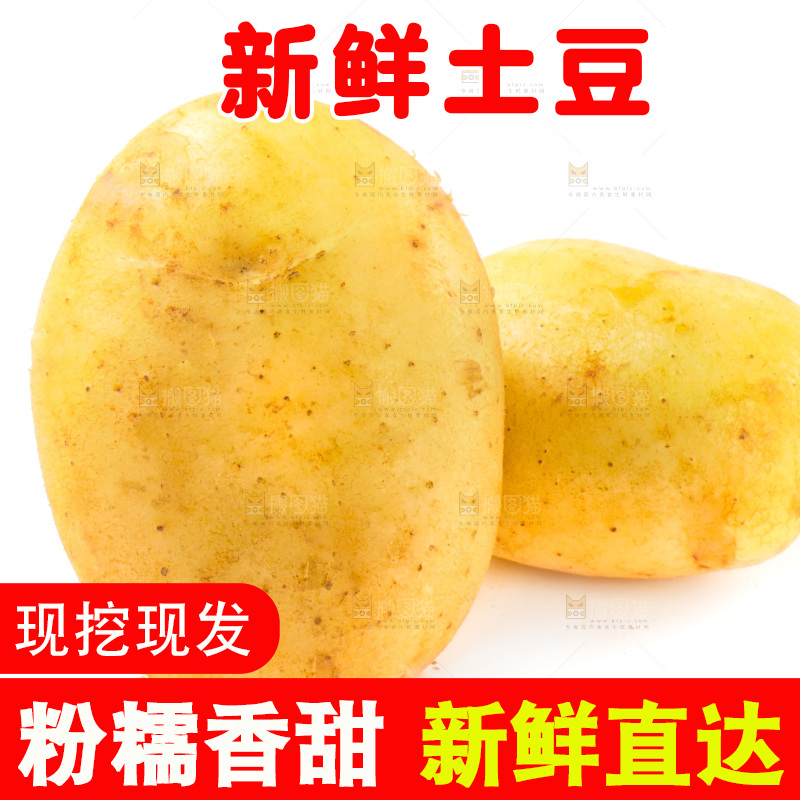 白底上的新鲜土豆