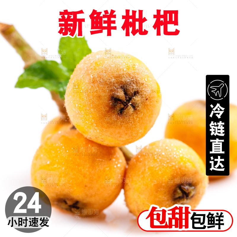 白底上放着枇杷果