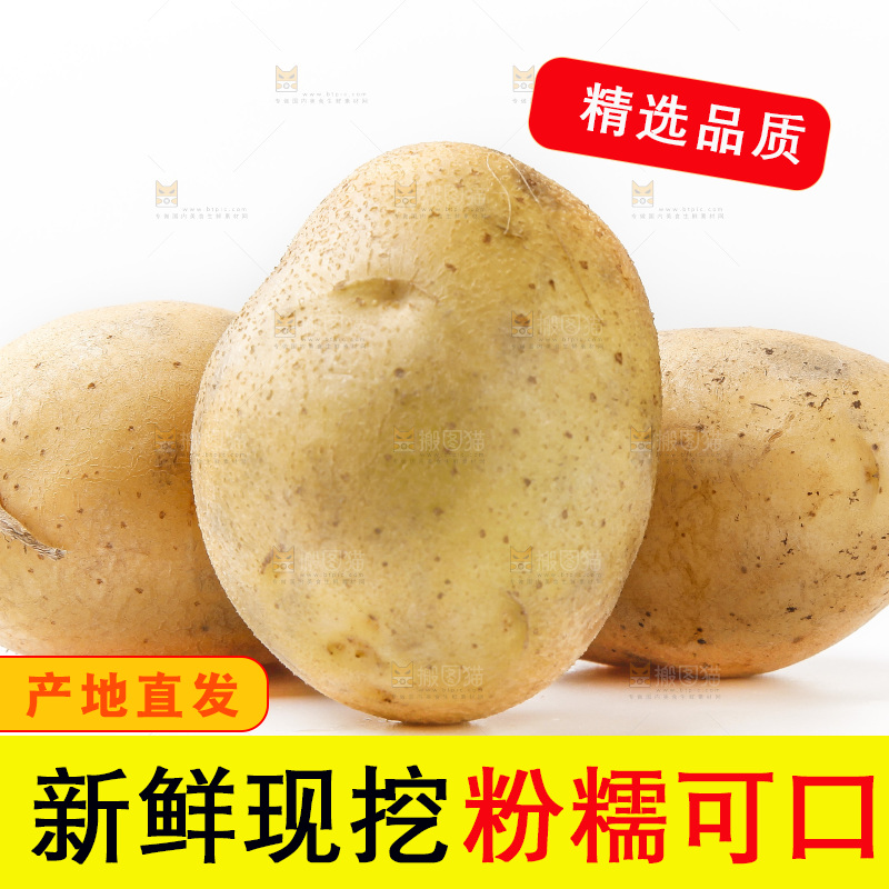 白底上放着黄心土豆