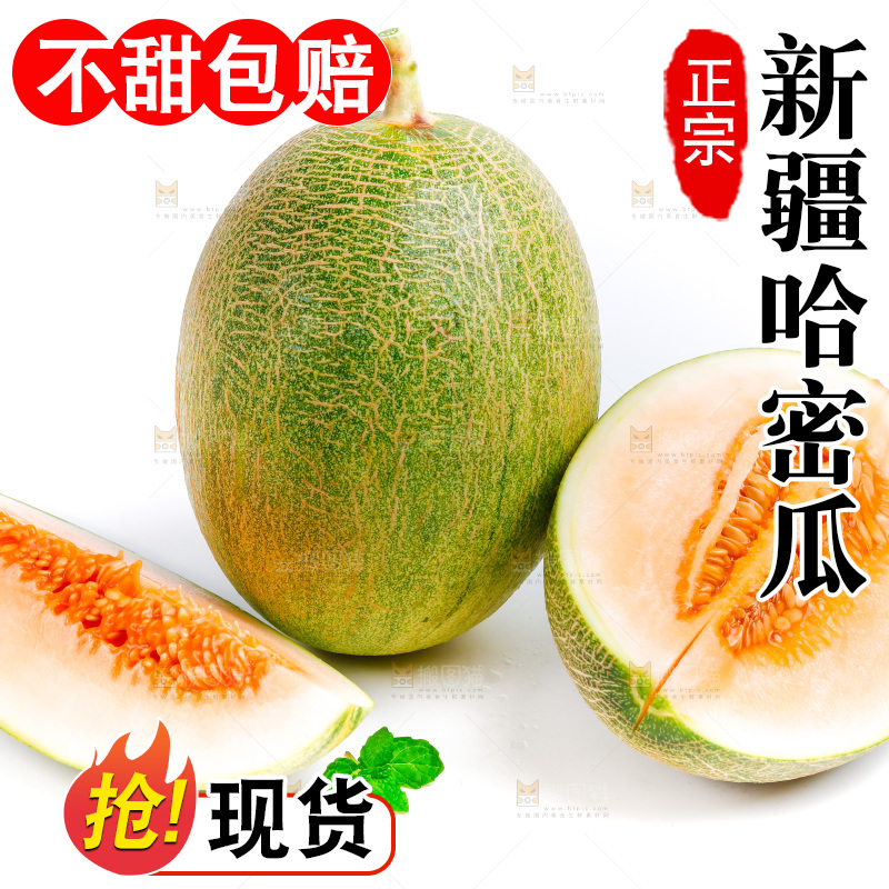 新鲜哈密瓜放在白底上