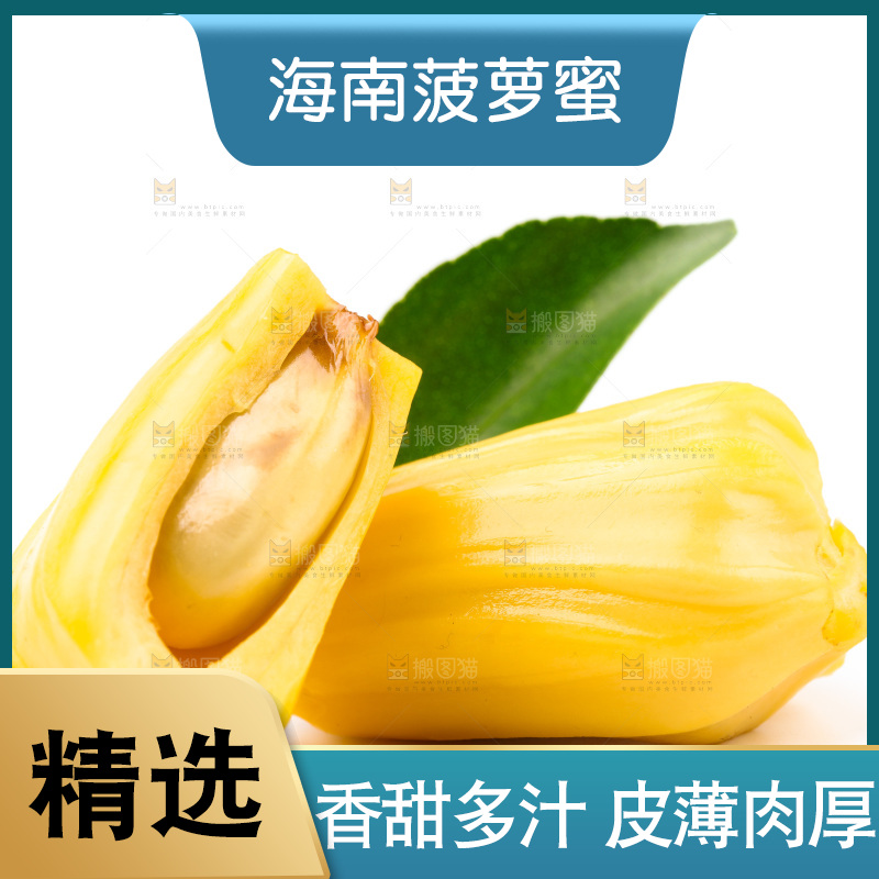 浅底上的海南菠萝蜜