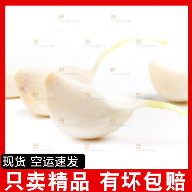 紫皮大蒜放在白底上